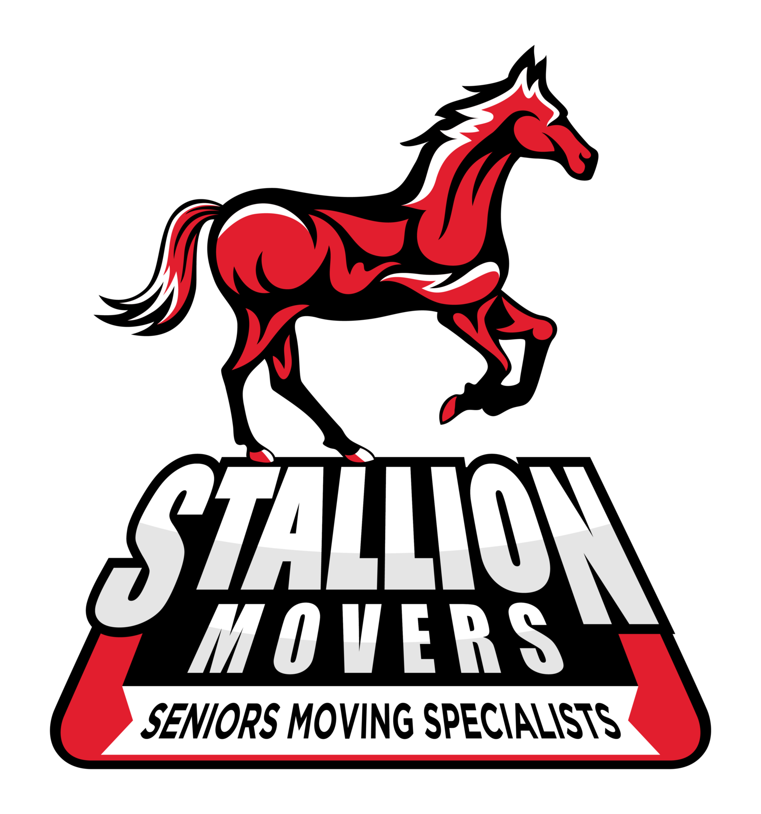 Cambridge SEO Client - Stallion Delivery